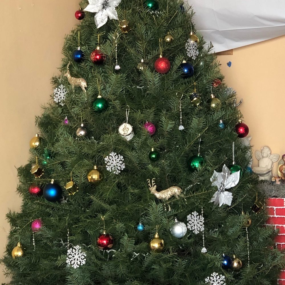 New Christmas lights